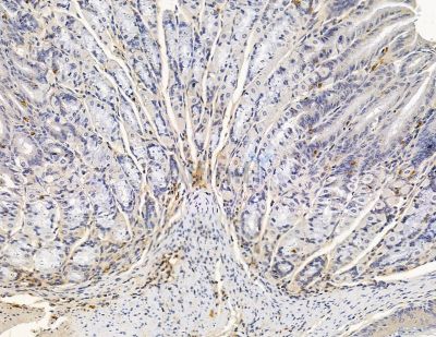 Валидация Affinity DF9035 - 21277