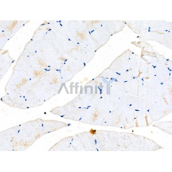 Валидация Affinity DF6288 - 17601