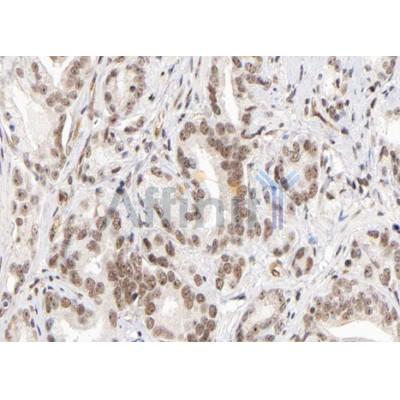 Валидация Affinity DF9646 - 22386