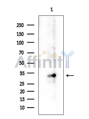 Валидация Affinity DF3761 - 14846