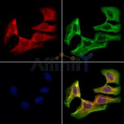 Валидация Affinity DF12314 - 6702