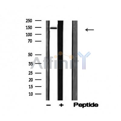 Валидация Affinity AF4748 - 2367