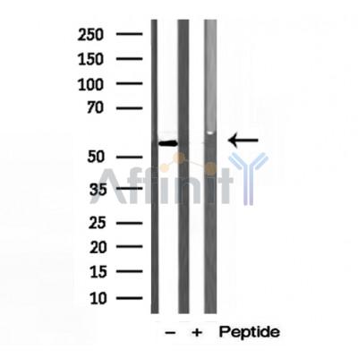Валидация Affinity DF12130 - 6289