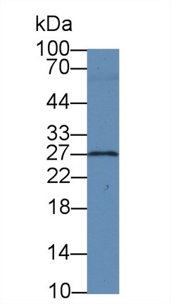 10471