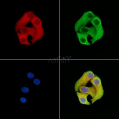 Валидация Affinity DF15054 - 11277