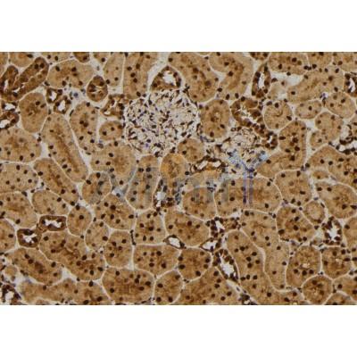 Валидация Affinity DF6138 - 17370