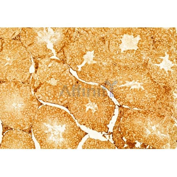 Валидация Affinity DF8503 - 20360