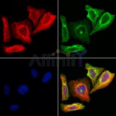 Валидация Affinity DF3681 - 14695