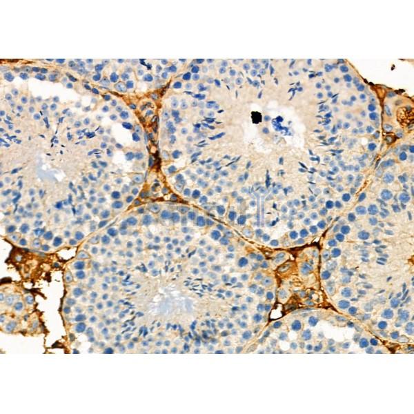 Валидация Affinity DF10258 - 5854