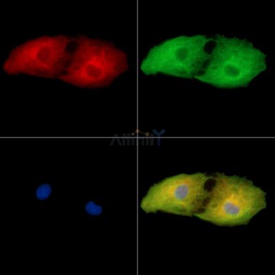 Валидация Affinity DF15107 - 11354