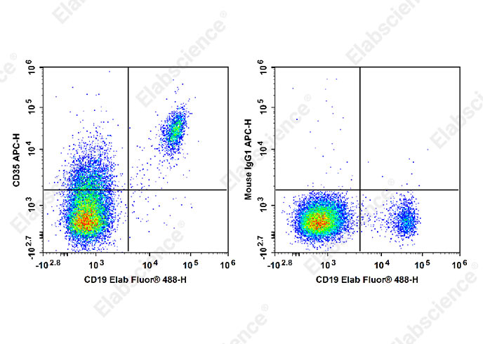 Валидация Elabscience E-AB-F1062E