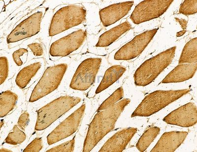 Валидация Affinity DF9847 - 22755