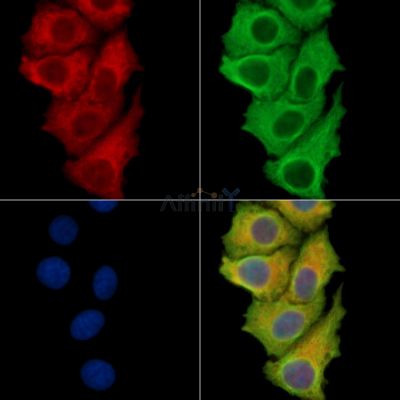 Валидация Affinity DF13778 - 9447