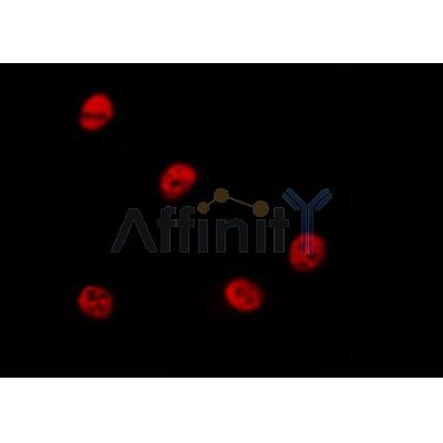 Валидация Affinity DF6066 - 17280