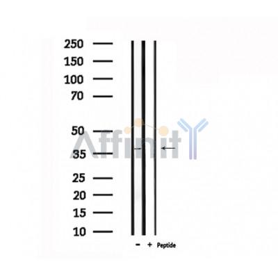 Валидация Affinity DF4905 - 16705
