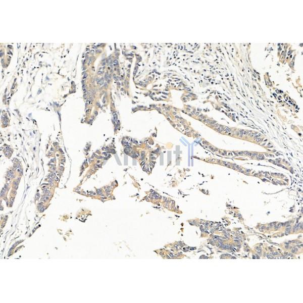 Валидация Affinity DF9909 - 22883