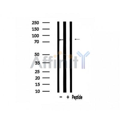 Валидация Affinity DF3843 - 14975