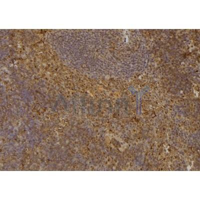 Валидация Affinity DF6791 - 18360