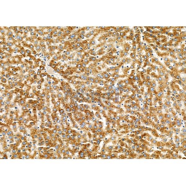 Валидация Affinity DF4524 - 16094