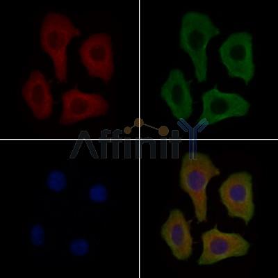 Валидация Affinity DF9463 - 22048