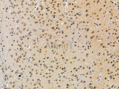 Валидация Affinity DF14526 - 10517