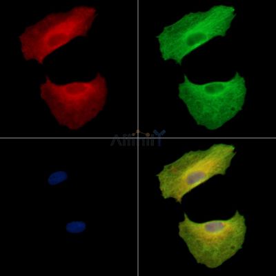 Валидация Affinity DF13898 - 9635