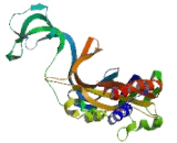 Purinergic Receptor P2X, Ligand Gated Ion Channel 1 (P2RX1) Purinergic Receptor P2X, Ligand Gated Ion Channel 1 (P2RX1)