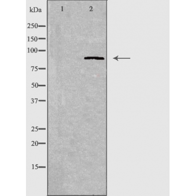 Валидация Affinity DF3532 - 14471