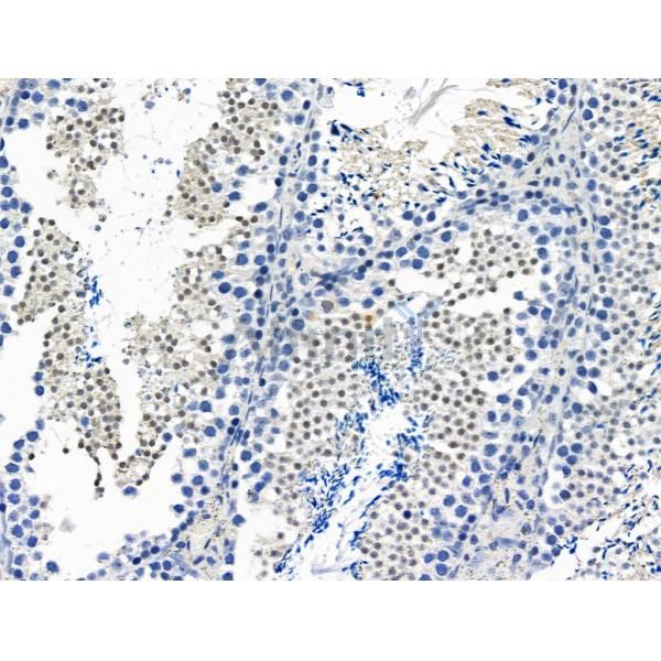 Валидация Affinity AF5360 - 2969