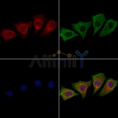 Валидация Affinity DF13116 - 8024