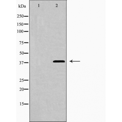 Валидация Affinity AF5290 - 2827