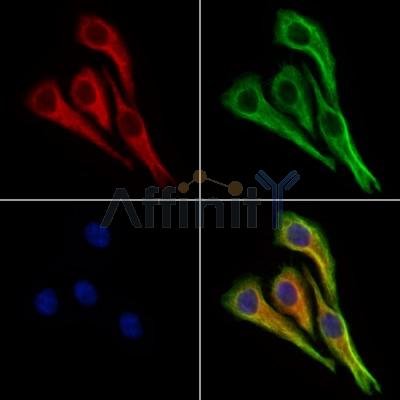 Валидация Affinity DF13663 - 9231