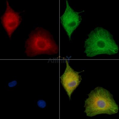 Валидация Affinity DF13978 - 9734