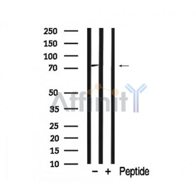 Валидация Affinity AF7903 - 4648