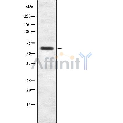 Валидация Affinity DF8721 - 20727