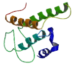 G Protein Coupled Receptor 142 (GPR142) G Protein Coupled Receptor 142 (GPR142)