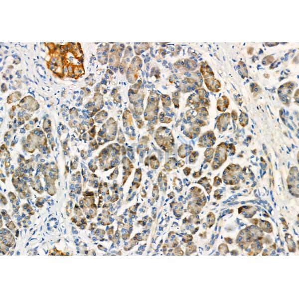 Валидация Affinity DF6453 - 17835