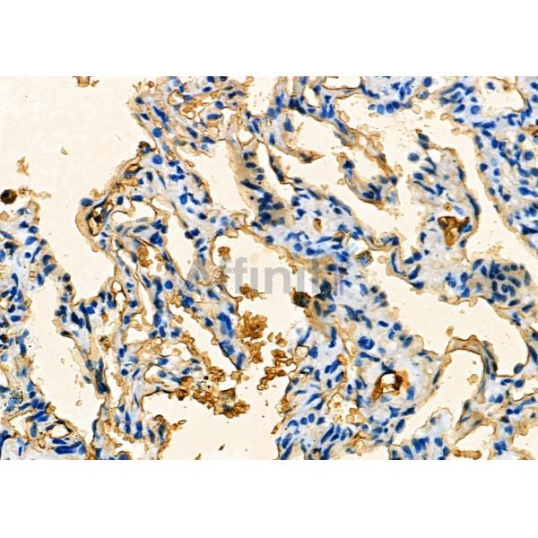 Валидация Affinity DF7620 - 19392