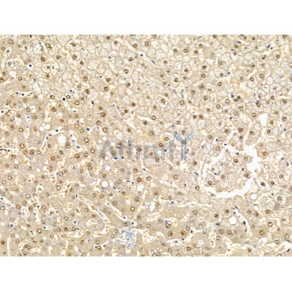 Валидация Affinity DF13486 - 8859