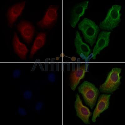 Валидация Affinity AF5384 - 3018