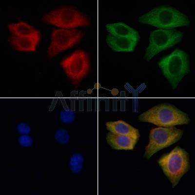 Валидация Affinity DF6204 - 17465