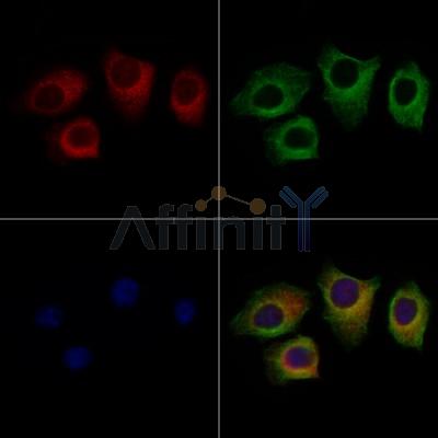 Валидация Affinity DF4458 - 15979