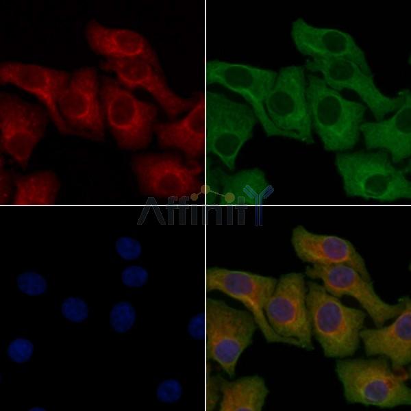 Валидация Affinity DF5115 - 17053