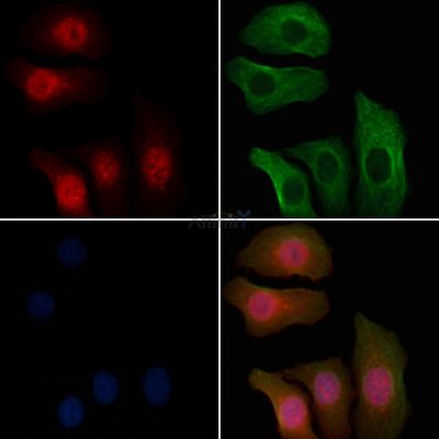 Валидация Affinity AF6617 - 3913