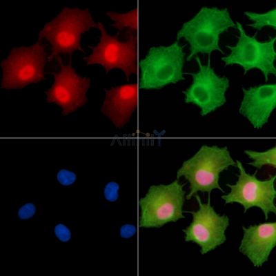 Валидация Affinity DF9357 - 21865