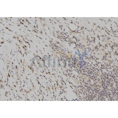 Валидация Affinity DF7458 - 19217