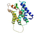 G Protein Coupled Receptor 81 (GPR81) G Protein Coupled Receptor 81 (GPR81)