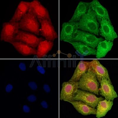 Валидация Affinity DF8550 - 20441