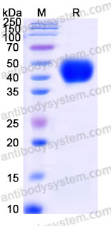 EMC43301, данные отсутствуют