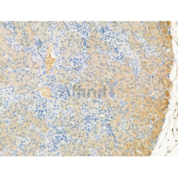 Валидация Affinity DF13317 - 8480